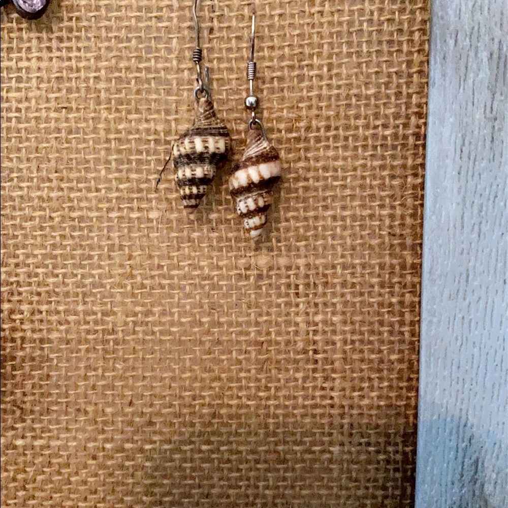 Shell earrings bundle deal